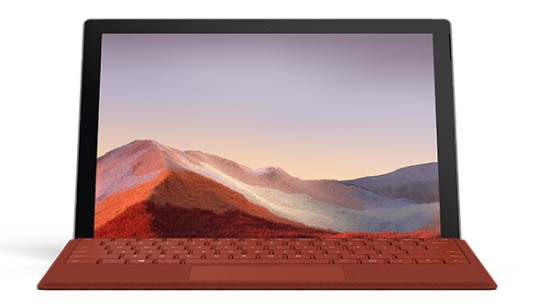 多文镇清洁和维护 Surface